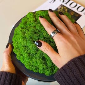 MOOSMOOS „Touchpoint“ Longevity Edition mit Geschenkverpackung