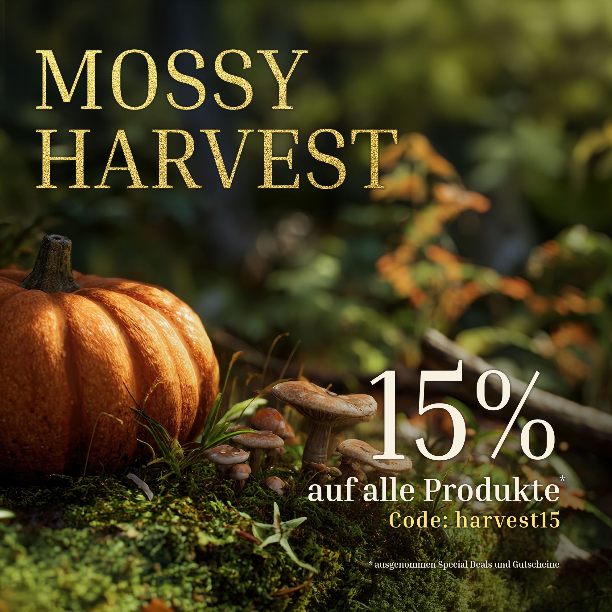 Mossy Harvest 🧺 jetzt 15% auf alle* Moosbilder sparen mit dem Code harvest15