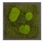 Moosbild mit Kugelmoos und Waldmoos - 35 x 35 cm - Holzfaserplatte anthrazit - 2