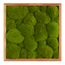 Moosbild mit Kugelmoos - 35 x 35 cm - Holzrahmen - 2