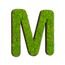 Buchstaben mit Islandmoos