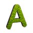 Buchstaben mit Islandmoos