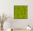 Moosbild mit Kugelmoos - 35 x 35 cm - Holzfaserplatte - 1