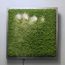 HEAVENS BREEZE – Raum- & Luftbefeuchter mit echtem Moos