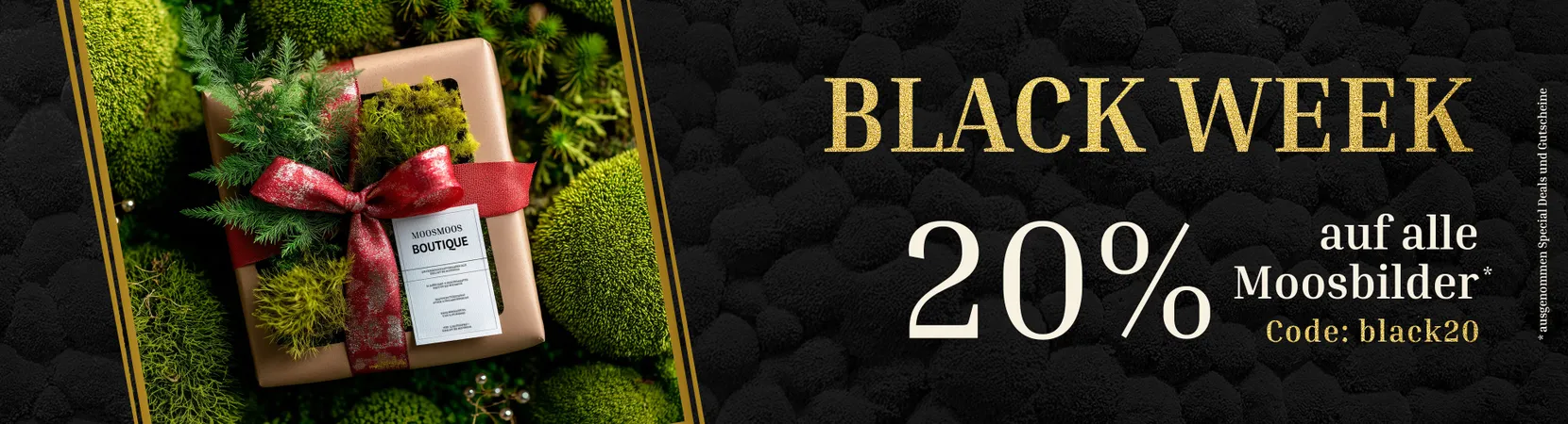 Black Week 20% auf alle Moosbilder