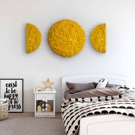 Moos 'Moon Phase' 3er Set Islandmoos Sonnengelb randbemoost