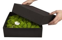 Amalia in Geschenkverpackung - 25 x 25 cm - Apfelgrün