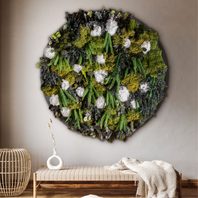Moosbild Wild Hydrangea White