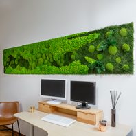 Moosbild