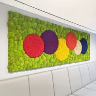 Moosbild