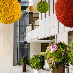 Kugeln & Bälle aus Moos,<br>Pflanzen & Blumen