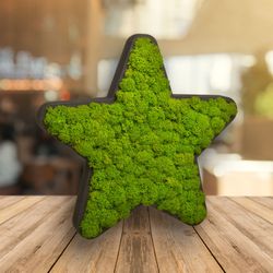 Buchstaben,<br>Zahlen & Piktogramme