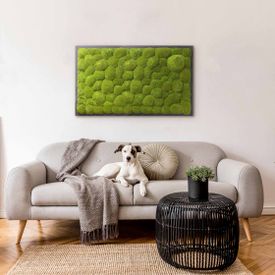 Moosbild mit Kugelmoos - 100 x 60 cm - Holzfaserplatte anthrazit - 1