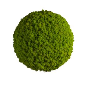 Moosballs mit Islandmoos - Apfelgrün - verschiedene Größen - 1