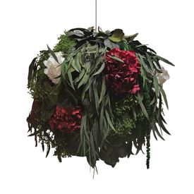 DEAL: Moosball Dschungel & Hortensien