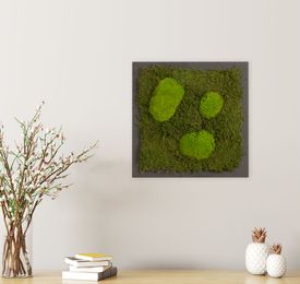Moosbild mit Kugelmoos und Waldmoos - 35 x 35 cm - Holzfaserplatte anthrazit - 1