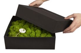 Amalia in Geschenkverpackung - 25 x 25 cm - Apfelgrün - 1