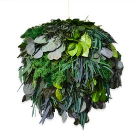 DEAL: Moosball mit Dschungelmoos