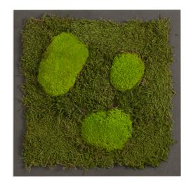 Moosbild mit Kugelmoos und Waldmoos - 35 x 35 cm - Holzfaserplatte anthrazit - 2