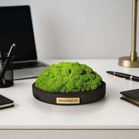 MOOSMOOS „Touchpoint“ mit Geschenkverpackung