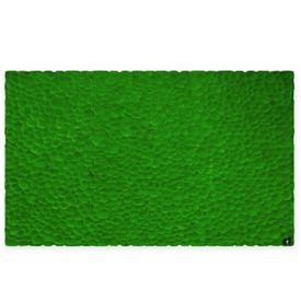 DEAL: Mooswand mit Ballenmoos