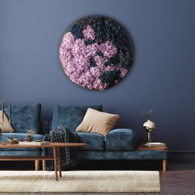 Blumenbilder & Pflanzenbilder mit Moos