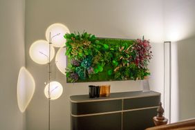 Showroom Schweiz
