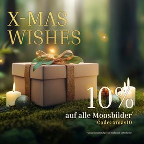 X-Mas Wishes 🎁 jetzt 10% auf alle* Moosbilder - Lieferung pünktlich zu Weihnachten