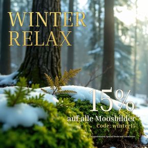 Winter Relax ❄️ jetzt 15 auf alle* Moosbilder sparen mit dem Code winter15