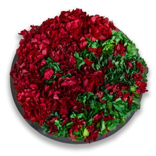 Moosbild Hortensien rot / grün