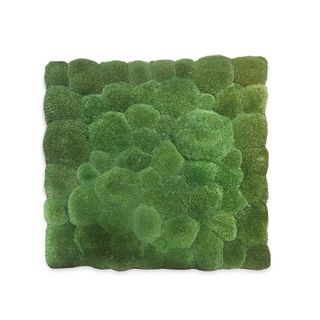 DEAL: Moosbild mit Ballenmoos