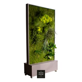 Raumtrennwand „Modell Scooter Boxed“ Typ Pflanze - 1