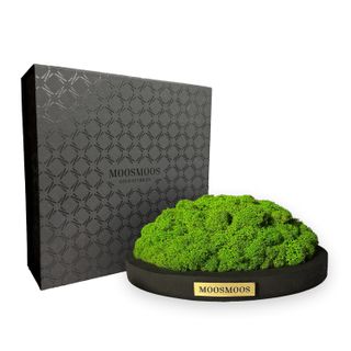 MOOSMOOS „Touchpoint“ mit Geschenkverpackung