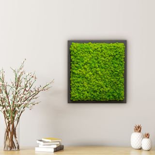 35x35 HFP antrazith, apfelgrün - 1