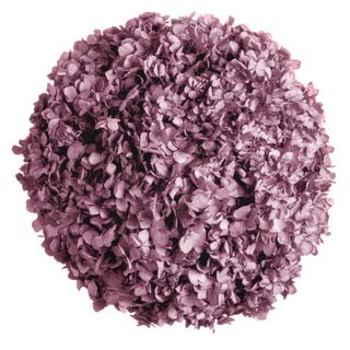 Moosball mit Hortensien