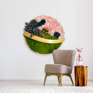 Moosbild Golden Belt Hydrangea