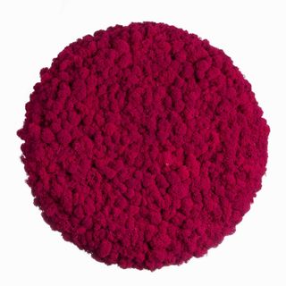 Moos ´Circle´ 3er Set „Pumpkin Spice“ mit Islandmoos - 3