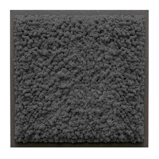 Moosbild mit Islandmoos