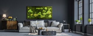 Moosbild Gigant - Wald- und Ballenmoos
