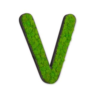 Buchstaben mit Islandmoos