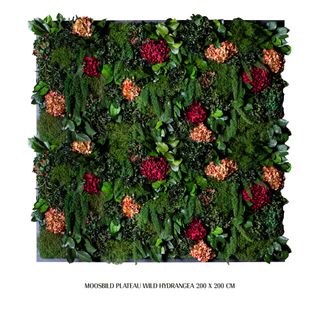 Moosbild Gigant Plateau Wild Hydrangea eckig versch. Größen Holzfaserplatte - 2