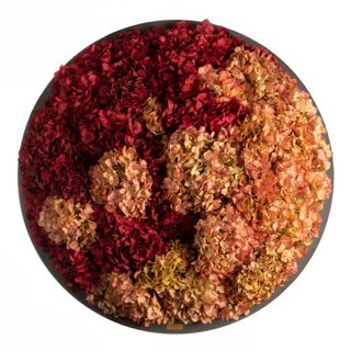 Moosbild Hortensien rot / creme - 2