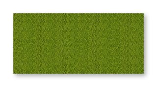 Konfiguriertes Moosbild Islandmoos 260cm x 120cm (B x H) mit Holzplatte randlos in Anthrazit