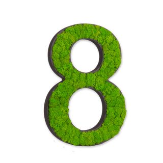 Zahlen mit Islandmoos