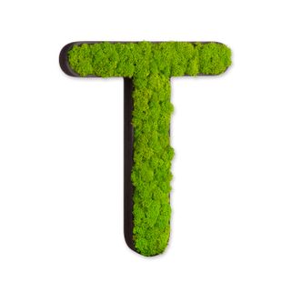 Buchstaben mit Islandmoos