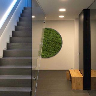 Rundes Gigant Moosbild versch. Größen Kugelmoos in Dunkelgrün auf Holzfaserplatte Anthrazit - 2