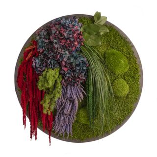 Moosbild Wald- & Ballenmoos mit Hortensien lila - 2