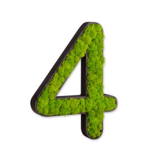 Zahlen mit Islandmoos