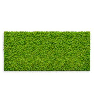 Deal: Moosbild mit Islandmoos