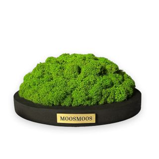 MOOSMOOS „Touchpoint“ mit Geschenkverpackung